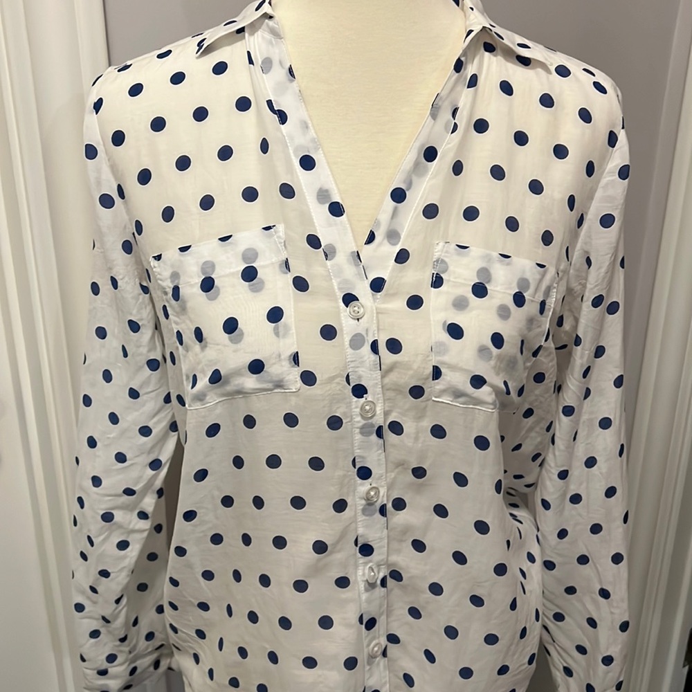 Ann Taylor lightweight blouse